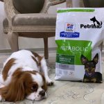 غذای خشک هیلز سگ متابولیک مینی | طعم مرغ | نژاد کوچک | Hill's PRESCRIPTION DIET Metabolic Mini