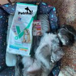 غذای خشک هیلز سگ بالغ و عقیم شده | Hill's Vet Essential +Weight and NEUTERED