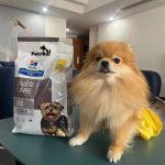 غذای خشک درمانی هیلز سگ لیور کر (مراقبت از کبد) | همه نژادها | Hill's Prescription Liver Care