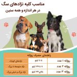 مکمل تقویتی کلیه و کبد سگ | 100% طبیعی و ارگانیک - همه نژادها و همه سنین