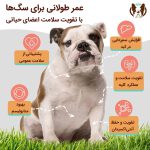 مکمل تقویتی کلیه و کبد سگ | 100% طبیعی و ارگانیک - همه نژادها و همه سنین
