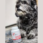 مکمل Arthrovet تقویت کننده مفاصل و غضروف سگ و گربه VetExpert
