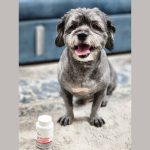 مکمل Arthrovet تقویت کننده مفاصل و غضروف سگ و گربه VetExpert