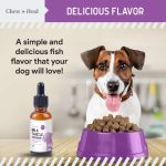 مکمل طبیعی تقویت کبد سگ برند Chew + Heal