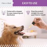 مکمل طبیعی تقویت کبد سگ برند Chew + Heal