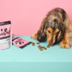 تشویقی سگ پروبیوتیکی Pooch & Mutt | آرامش بخش | هایپو آلرژی (بوقلمون و شاهدانه)