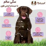 مکمل تقویت سیستم ایمنی سگ برند نچرال داگ | 100% طبیعی | همه نژادها و سنین Natural Dog Company Aller-Immune Supplement