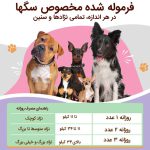 مکمل تقویت سیستم ایمنی سگ برند نچرال داگ | 100% طبیعی | همه نژادها و سنین Natural Dog Company Aller-Immune Supplement