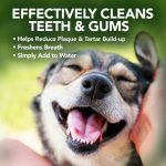 محلول تمیز کننده دندان سگ و گربه برند وتس بست | خوراکی و بدون نیاز به مسواک | 500 میل Vet's Best Dental Breath Freshener
