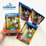 قرص تقویت مفاصل و غضروف ( سگ بالغ نژاد کوچک ) COSEQUIN Minis Joint Health Supplement