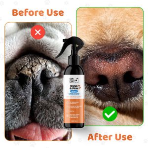 اسپری تمیزکننده، ترمیم کننده پنجه و بینی سگ برند OUR DOGS LIFE | از بین برنده باکتری و میکروب OUR DOGS LIFE Dog Paw & Nose Cleaner Spray