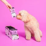 غذای تر آرامش‌بخش سگ Pooch & Mutt | گوشت بره، گوساله، بوقلمون | 150 گرم Pooch & Mutt Calm & Relaxed Complete Wet Food