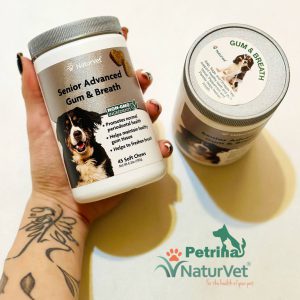 مکمل تقویت سلامت لثه و دندان سگ مسن نچر وت | 100% طبیعی | 45 عدد  NaturVet® Senior Advanced Gum and Breath Soft Chews