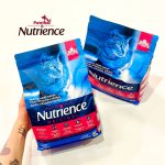 غذای گربه ایندور نوترینس مدل اورجینال (گربه خانگی) | مرغ ارگانیک و برنج قهوه‌ای Nutrience Original Adult cat indoor