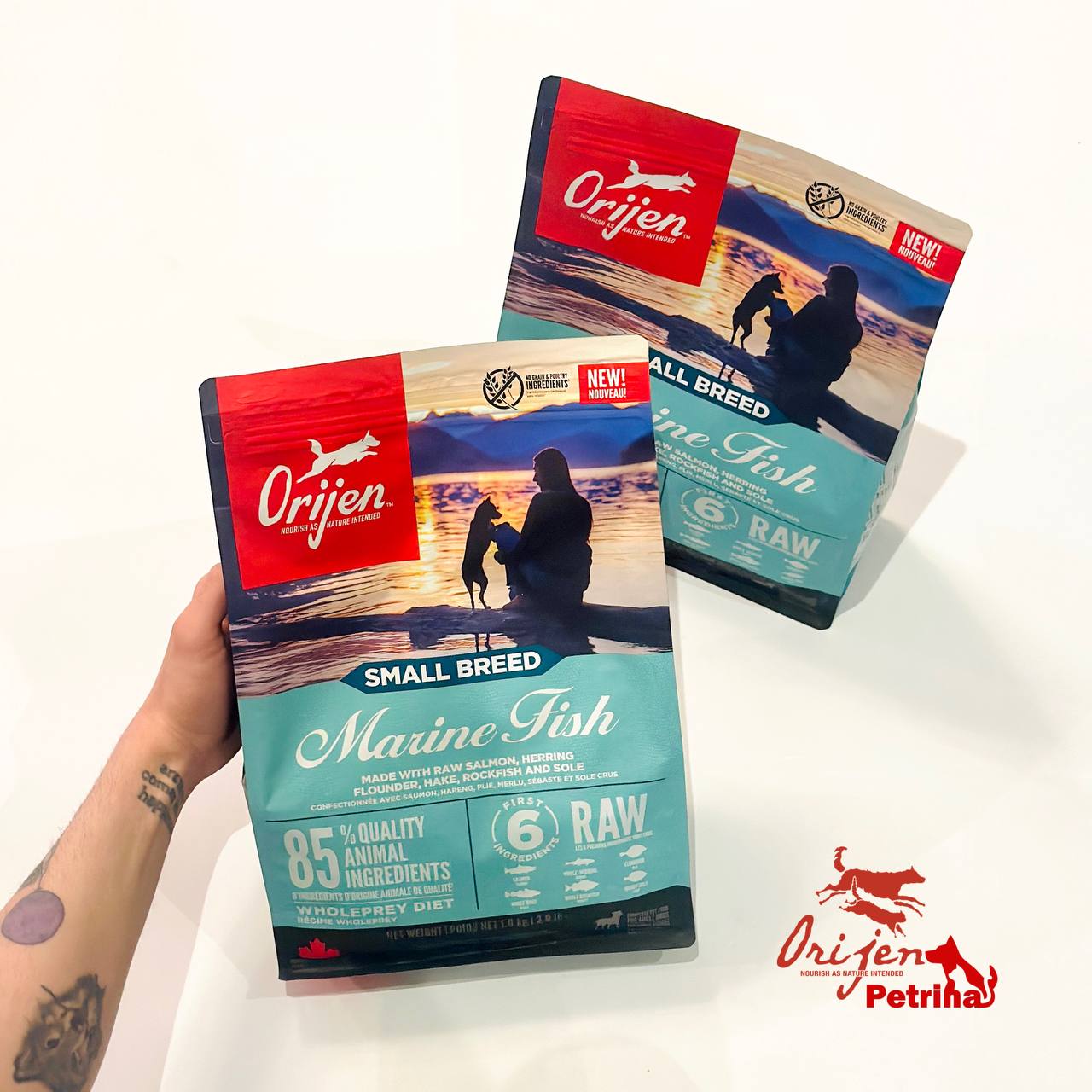 ORIJEN SMALL BREED MARINE FISH غذای خشک سگ اوریجن مارین فیش نژاد کوچک | 1/8 - 4/5 کیلو | ORIJEN MARINE FISH ORIJEN SMALL BREED MARINE FISH