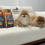 غذای اینستینکت سگ با گوشت مرغ ارگانیک و بدون قفس | بدون غلات | سلامت روده | INSTINCT® RAW BOOST REAL CHICKEN GUT HEALTHI
