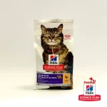 غذای خشک هیلز گربه پوست و گوارش حساس | طعم مرغ 1/5 کیلو | Hill's Science Plan Sensitive Stomach & Skin Adult Cat
