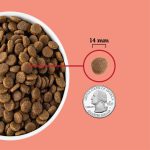 غذای خشک سگ آکانا | گوشت گاو و خوک (2 کیلو) ACANA Classics, Red Meat Recipe Dry Dog Food