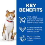 غذای خشک هیلز گربه عقیم‌شده | طعم ماهی سالمون 1/5 کیلوگرم Sterilised Cat Adult Dry Food with Salmon Hill's Science Plan