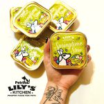 کنسرو سگ لیلیز کیچن | گوشت بره، مرغ و سبزیجات | طبیعی و بدون غلات Lily's Kitchen Springtime Stew