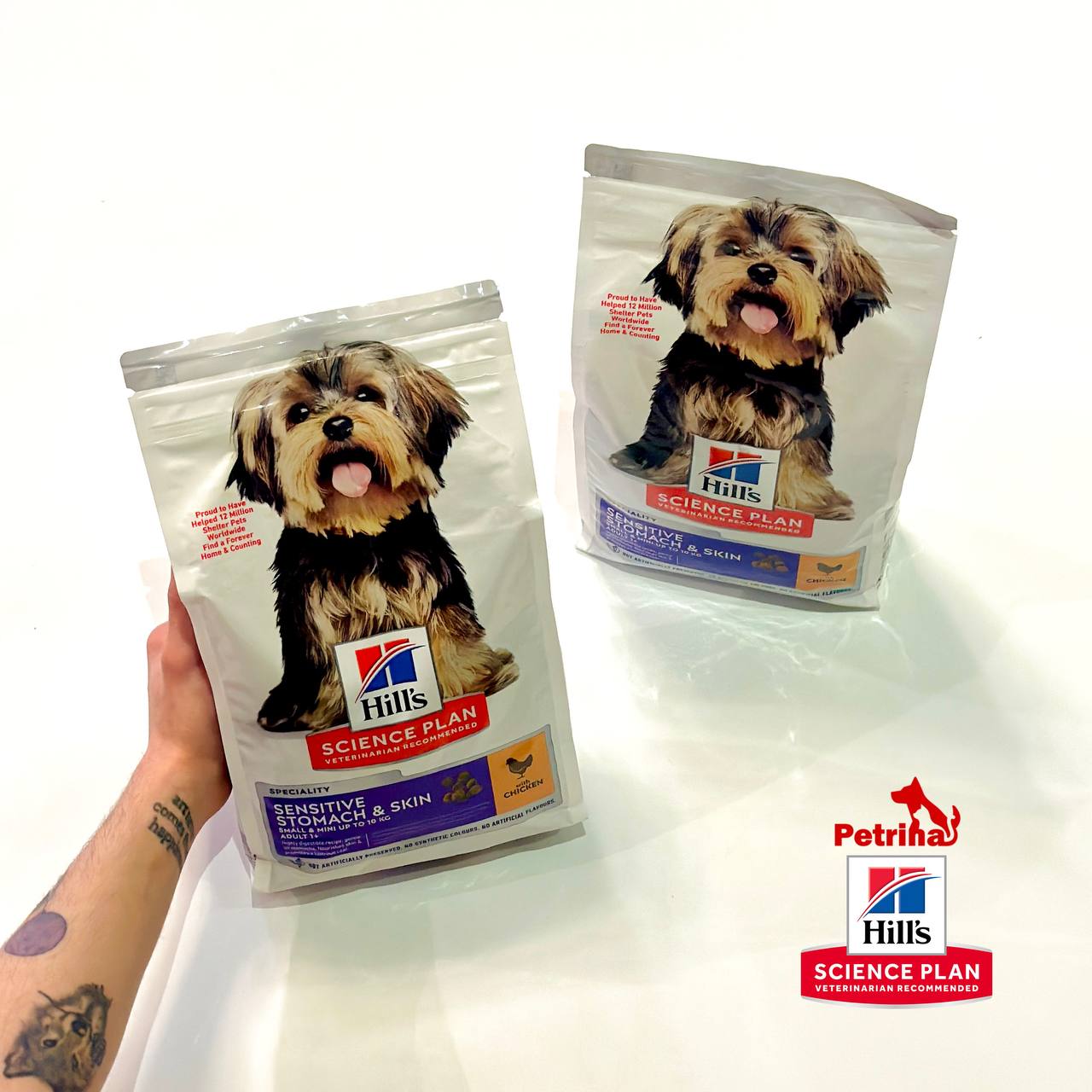 HILL'S SCIENCE PLAN Sensitive Stomach & Skin Small & Mini Adult Dog Food with Chicken غذای سگ هیلز گوارش و پوست حساس طعم مرغ (نژاد کوچک و مینیاتوری) | 1/5 کیلو | Sensitive Stomach & Skin HILL'S SCIENCE PLAN Sensitive Stomach & Skin Small & Mini Adult Dog Food with Chicken