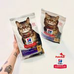 غذای خشک هیلز گربه پوست و گوارش حساس | طعم مرغ 1/5 کیلو Hill's Science Plan Sensitive Stomach & Skin Adult Cat Food