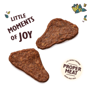 تشویقی سگ لیلیز کیچن گوشت اردک | ارگانیک و بدون غلات LILIY's KITCHEN The Mighty Duck Mini Jerky