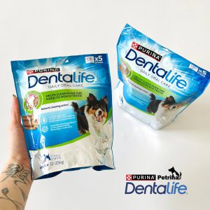 تشویقی دنتال سگ دنتالایف پورینا DentaLife | کاهش جرم و تارتار | مناسب نژاد متوسط (5 تکه) PURINA Dentalife Medium | Daily Oral Care