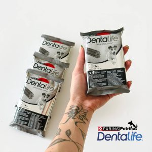 PURINA Dentalife Small | Daily Oral Care 3 STK