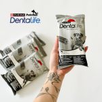 تشویقی دنتال سگ دنتالایف پورینا DentaLife | کاهش جرم و تارتار | سایز بزرگ (۳ تکه) PURINA Dentalife Large 3x