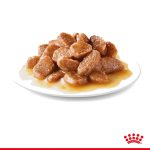 پوچ گربه رویال کنین مراقبتی پوست و مو  | 85 گرم  Hair & Skin Care Chunks In Gravy Pouch