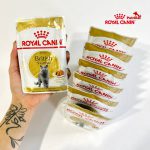 پوچ گربه بریتیش رویال کنین | 85 گرم | British British Shorthair Narrow Chunks In Gravy