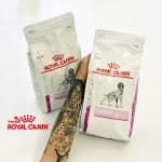 غذای خشک رویال کنین سگ کاردیاک (نارسایی قلبی) | 2 کیلو | Royal Canin Cardiac Royal Canin Cardiac Dry food for dogs
