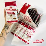 پوچ سگ رویال کنین مدیوم ادالت | 140 گرم Royal Canin Medium Adult Chunks In Gravy Wet food for dogs