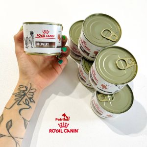 کنسرو ریکاوری رویال کنین مخصوص سگ و گربه | 195 گرم | Recovery Royal Canin Recovery Ultra Soft Mousse