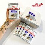پوچ سگ رویال کنین استرلایزد (عقیم شده) | همه نژادها | 85 گرم Royal Canin Sterilised Loaf