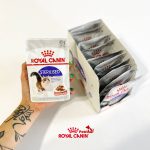 پوچ گربه رویال کنین استرلایزد (عقیم شده) | 85 گرم Royal Canin Sterilised Loaf Cat