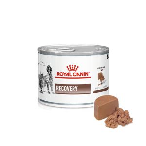 کنسرو ریکاوری رویال کنین مخصوص سگ و گربه | 195 گرم | Recovery