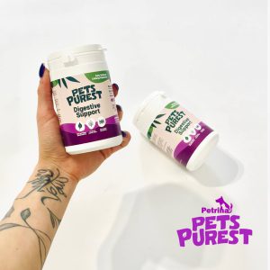 پودر تقویت گوارش سگ و گربه Digestive Support برند Pets Purest (انگلیسی) Pets Purest Natural Digestive Support Powder | 100g