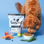 غذای سگ سرزندگی و شادابی Pooch & Mutt | سلامت روده و تقویت مفاصل | ماهی سالمون و سبزیجات - 1/5 کیلو Pooch & Mutt Single Protein Fresh Salmon Dry Food