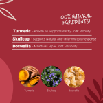 مکمل تقویت مفاصل و غضروف سگ و گربه Daily Joint برند Pets Purest (انگلیسی)