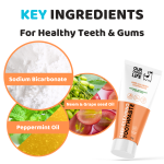کیت خمیردندان و مسواک سگ برند انگلیسی OurDogsLife OurDogsLife Dog Toothpaste and Toothbrush Set