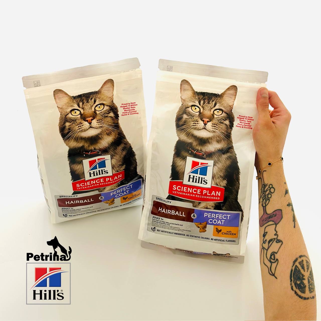 Hairball & Perfect Coat Adult Dry Cat Food with Chicken