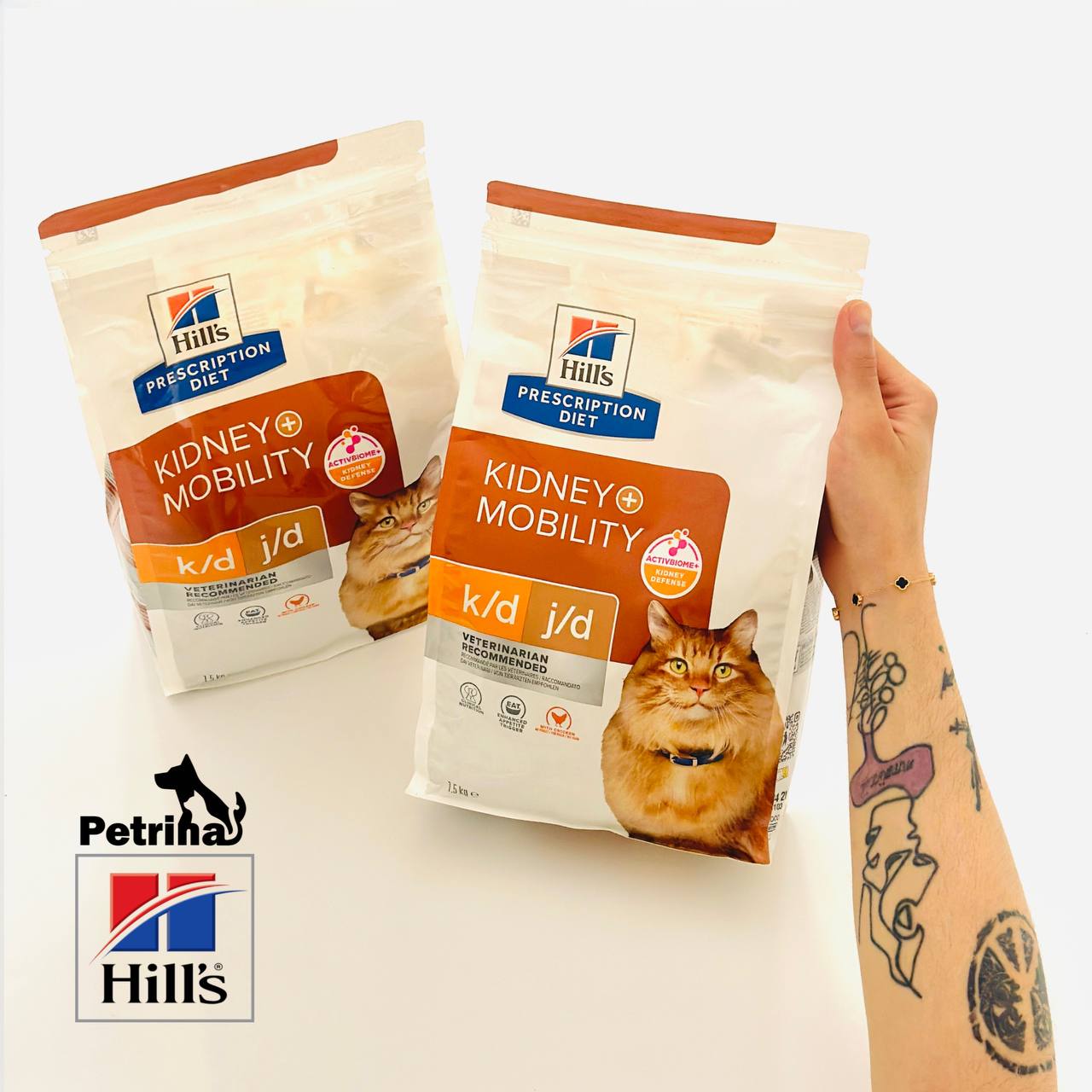 Hill’s Prescription Diet kd + Mobility Dry Cat Food غذای خشک گربه هیلز درمانی عملکرد کلیه و بهبود تحرک (1/5 کیلوگرم) | Kidney + Mobility Hill’s Prescription Diet k/d + Mobility Dry Cat Food