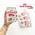 پوچ سگ رویال کنین اگزیجنت | 85 گرم | Royal Canin Exigent Royal Canin® Exigent Adult Wet Food