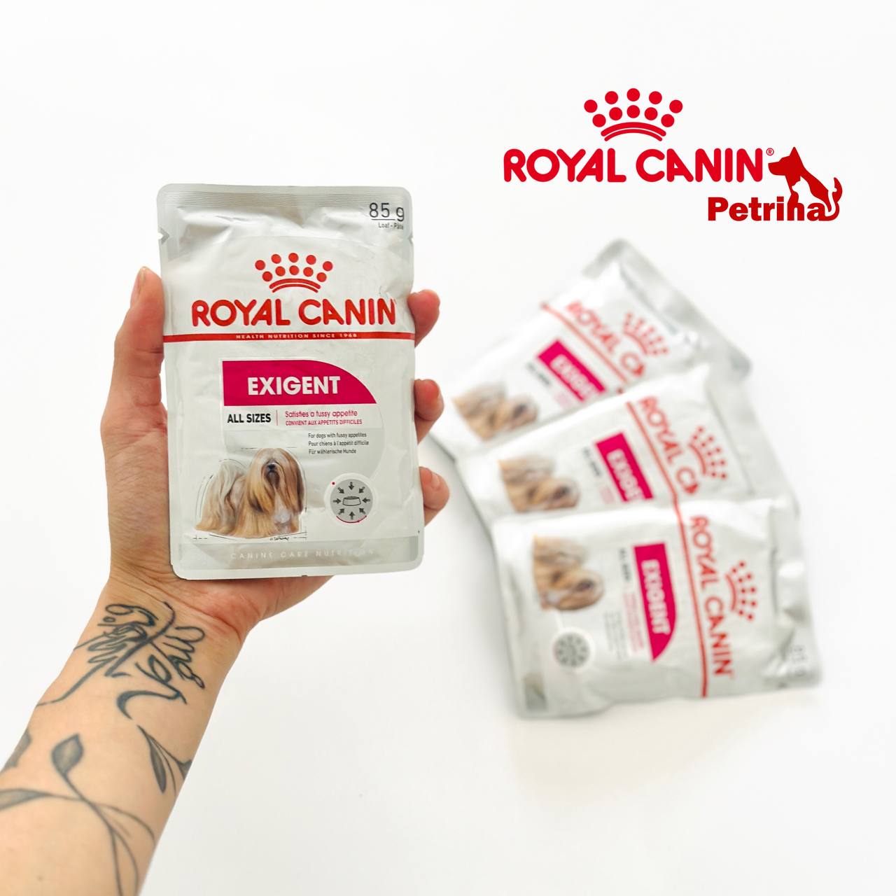 Royal Canin Exigent Adult Dog Wet Food Pouch پوچ سگ رویال کنین اگزیجنت | 85 گرم | Royal Canin Exigent Royal Canin® Exigent Adult Wet Food