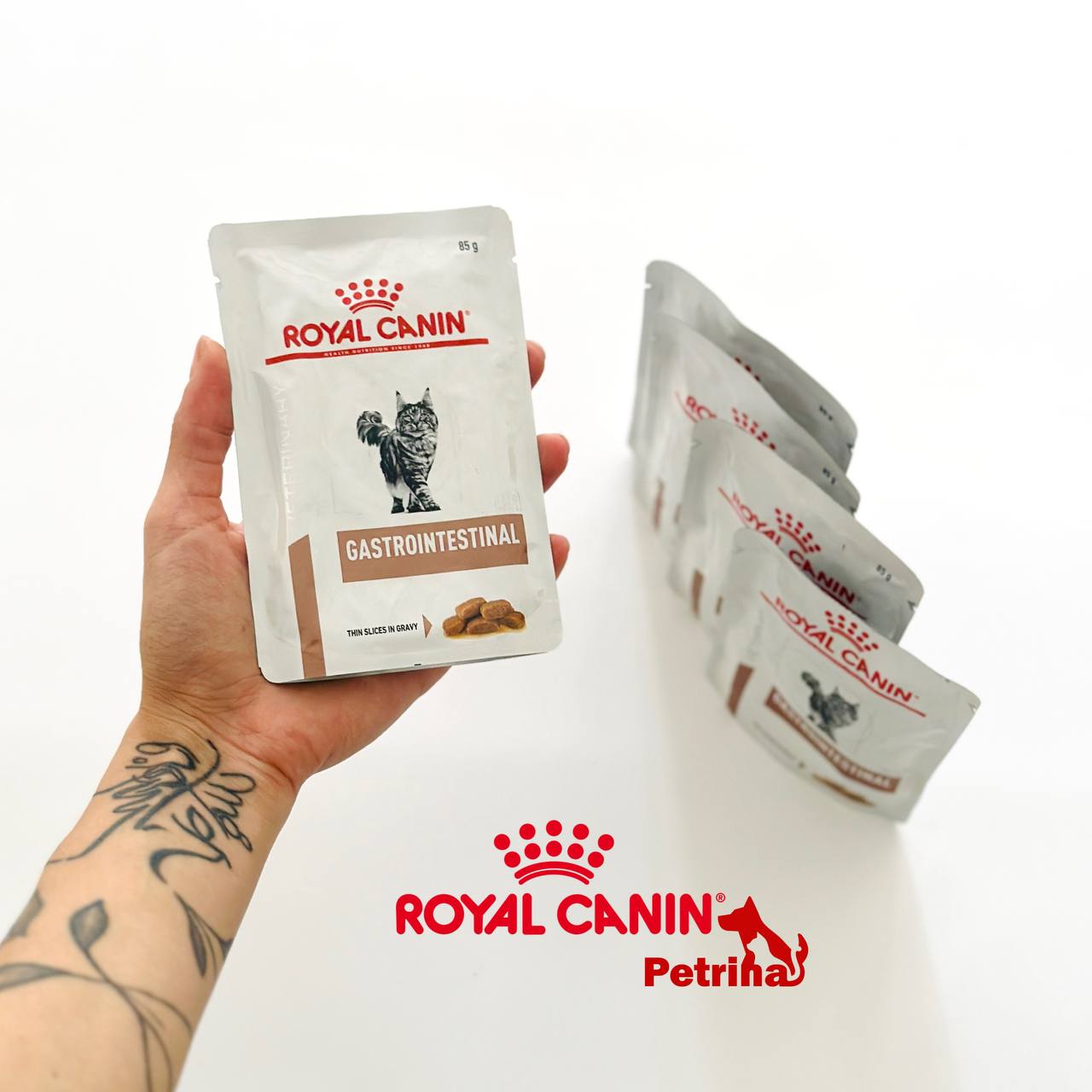 Royal Canin Gastrointestinal for Cats