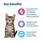 غذای خشک بچه گربه هیلز چند مزیته (مولتی بنفیت) | 2 کیلو | Multi-Benefit Kitten Food Multi-Benefit Dry Kitten Food with Chicken Hill's Vet Essentials