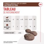 تشویقی سگ رویال کنین | رژیمی گسترو اینتنشیال (گوارش حساس) - 230 گرم |Royal Canin Gastrointestinal Royal Canin Gastrointestinal Treats