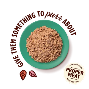 کنسرو پته گربه Lily's Kitchen | مرغ، گوزن و خوک - طبیعی و بدون غلات | 85 گرم Lily's Kitchen Chicken with Game Paté (85g)